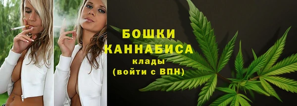 гидра Ступино