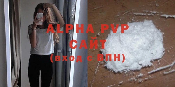 ECSTASY Богданович