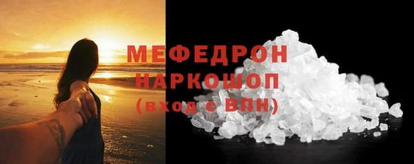 ECSTASY Богданович