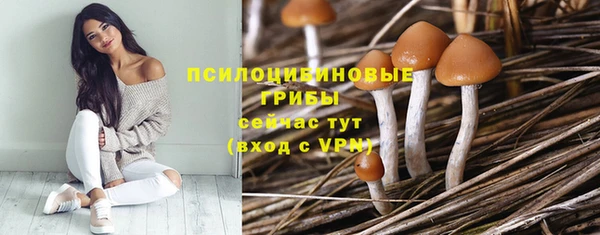 PSILOCYBIN Богородск